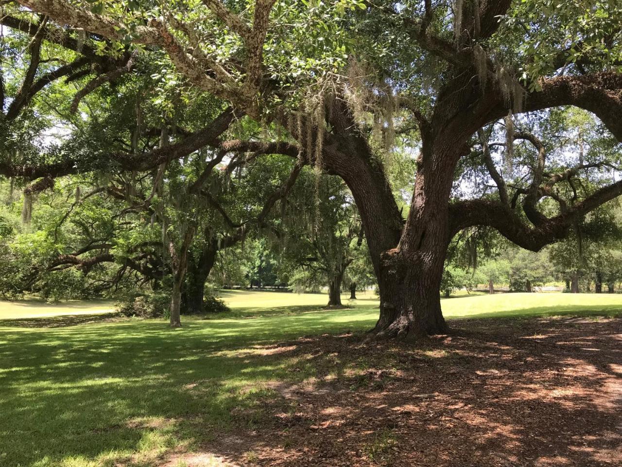 Canemount Plantation Inn Westside Exterior foto